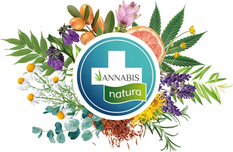 Annabis Cremcann Silver 1300 mg CBD