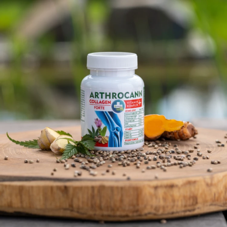 Annabis Arthrocann Collagen Vitamin Complex+ Kolagen typu I i II 60 tbl